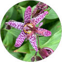 Barbara Wilkinson profile picture